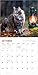 Travel Cats Wall Calendar 2026