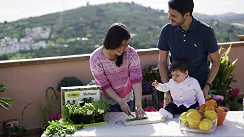 Sembra- Kit Coltivare Orto - Culinari