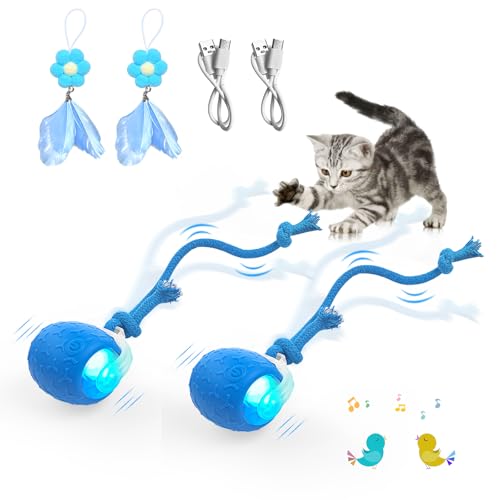 LEUCITE Indoor Cat Toys Ball: Automatic Rolling Ball with Motion-Activated Chirping for Engaging Cats -USB Rechargeable