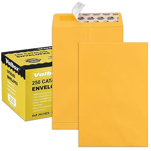 ValBox 6x9 Self Seal Catalog Security Envelopes 250