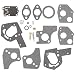 Venseri 495606 494624 Carburetor Overhaul Repair Rebuild Kit fits Briggs & Stratton Pulsa Jet Carb 80200 81200 82200 3 Thru 5 HP Horizontal Engines