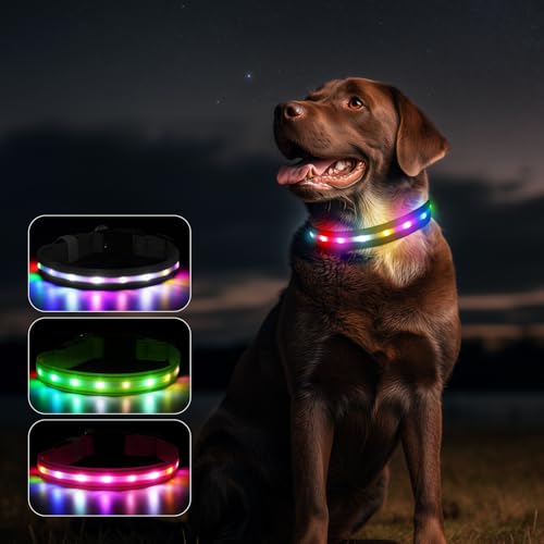 Feycig Leuchthalsband Hund Halsband Aufladbar - LED Hundehalsband Leuchtend USB Wasserdicht Einstellbare, 3 Modi, Leuchthalsband für Kleine Mittlere Große Hunde (Schwarz, M(38-50cm/15-19.7inch))