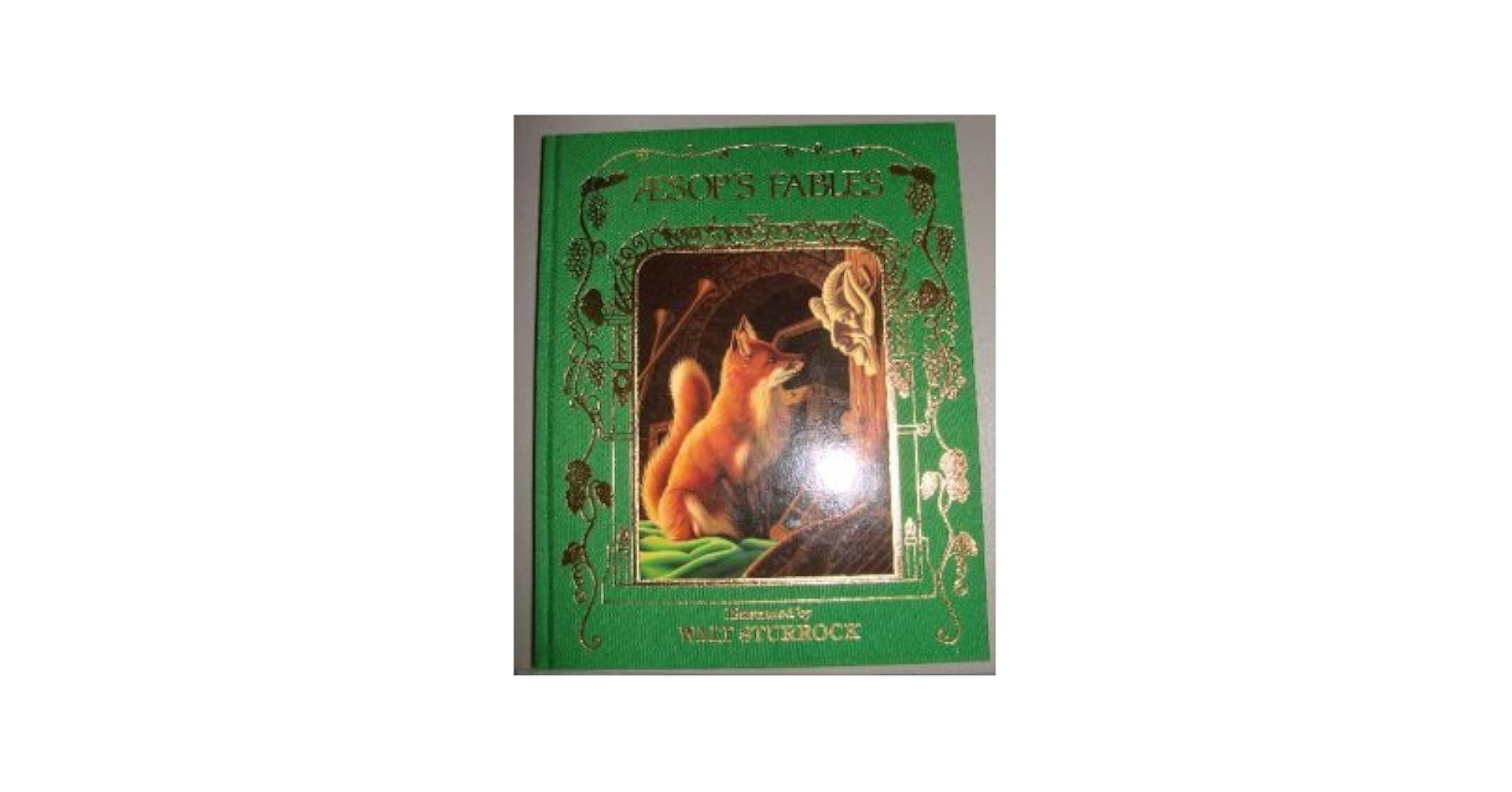 Aēsop the book AESOP'S FABLES | Aesop | Illustrated Junior Library edition
