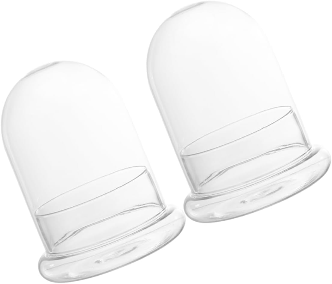 SUPVOX 2pcs DIY Micro-Landscape Bottle Moss Glass Empty Bottle for Tabletop Greenhouse Indoor