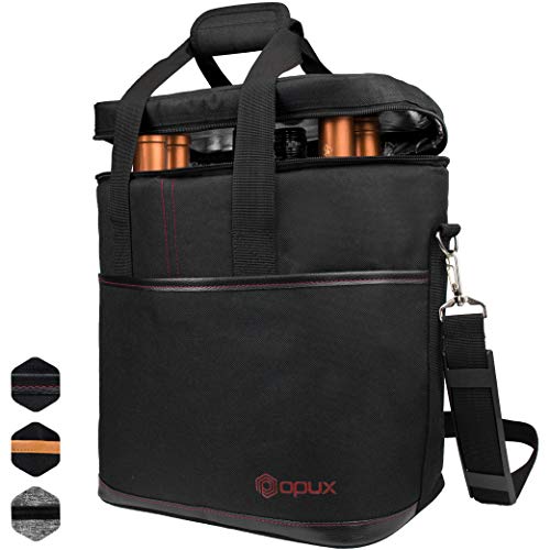 10 Best Portable Wine Coolers in 2023 (November update)