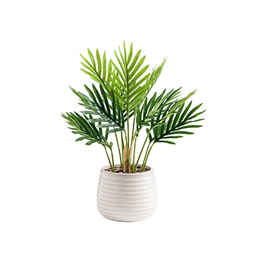 "Favrd" Fake Plants In Ceramic Pot Baby Palm Environmentally Conscious Partly Recycled Artificial Plants Indoor Home Office Decor Table Desk Faux Plants, 9.5 X 9.5 X 13.5 Inches #TOP4