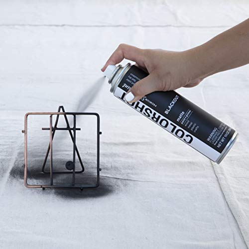 COLORSHOT Matte Spray Paint, Blackout (Black), 10 oz