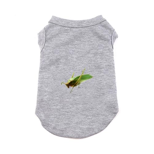 [QINTIW] �� �� ���� ���̕� �ĕ� ������ ���Ȃ� �m�[�X���[�u ������ �t �� �t�� �t�� �ėp �t�@�b�V���� �����^�� ���p �m�� ���� ������^�����L�� �O���[ �ʋC ���₩ ���U�� ���o���� T�V���c XS �h�b�O�E�F�A