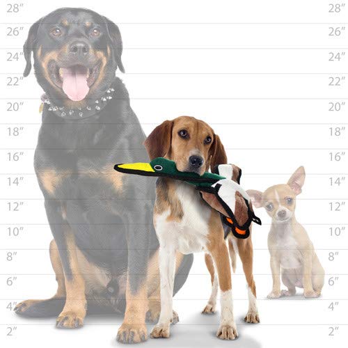 TUFFY - World\'s Tuffest Soft Dog Toy - Barnyard Duck - Squeakers - Multiple Layers. Made Durable, Strong & Tough. Interactive Play (Tug, Toss & Fetch). Machine Washable & Floats. (2 Combo Pack)