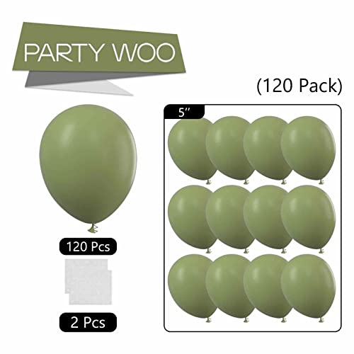 Partywoo Retro Green Balloons, 120 Pcs 5 Inch Sage Green Balloons, Latex Balloons For Balloon Garland Arch As Party Decorations, Birthday Decorations, Wedding Decorations, Baby Shower Decorations #TOP4