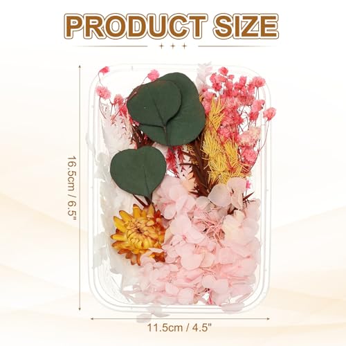 uxcell Set Natural de Flores Secas para Manualidades miniatura 2