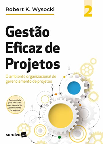 Gestão eficaz de projetos: o ambiente organizacional de gerenciamento de projetos