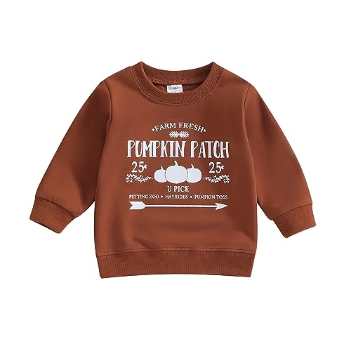 LAGKIYOJ Infant Baby Girl Boy Halloween Outfit Pumpkin Long Sleeve Crewneck Sweatshirt Toddler Pullover Sweater Fall Clothes (Dark Brown - Pumpkin, 2-3 Years)