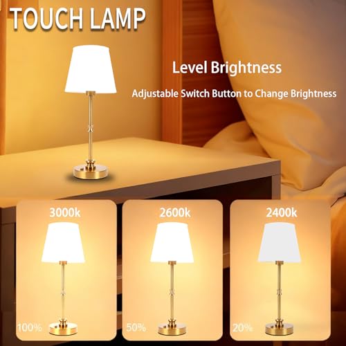 COIIOI Table Lamps, Rechargeable Table Lamps, Cordless Lamp with 5200mAh Battery Operated for Restaurant Home Dinner Dining Kitchen Outdoor Patio — view 3