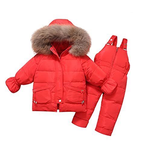 2 Piezas Traje de Nieve para Bebé 1-2 años, Chaqueta de Plumón + Pantalones, Niños Niñas Invierno Esquí Abrigo con Capucha Ropa Trajes Regalo Cover