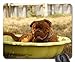 Produktbild Spielmausunterlagen, Mäusematte, Bordeaux Dog Summer De Pet Nature Background 1