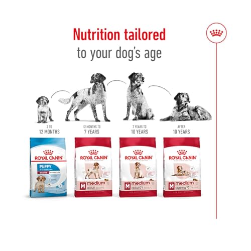 Royal Canin Medium Adult, 1er Pack (1 x 10 kg Beutel) - Hundefutter