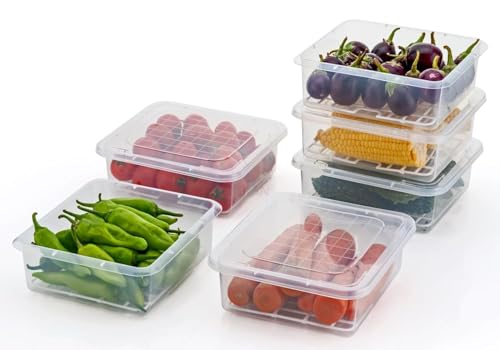 Image of Fridge Storage Boxes Fridge Organizer with Removable Drain Plate and Lid Stackable Fridge Storage Freezer Storage Containers for Fish, Meat, Vegetables, Fruits (2500ML, Pack of 1)