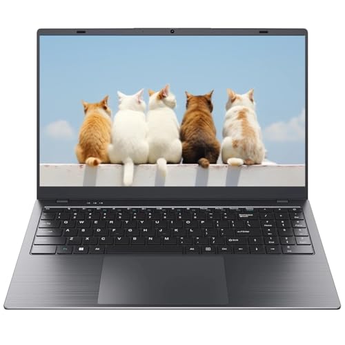 EVOSPEX Laptop 15.6 Inch, Laptops with AMD 3020e Processor(Up to 2.6GHz), 8GB RAM 512GB SSD, 1080P FHD IPS Display, Laptop Computer for Business and Student, HDMI, Type C, WiFi5, BT5