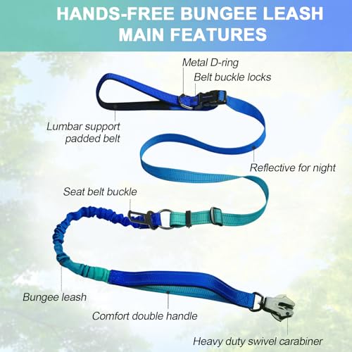 Strapazierfähige, freihändige Hundeleine mit Schnellverschluss-Karabiner und verstellbarem Bungee-Hundeleine, für Spaziergänge und Training, mit Auto-Sicherheitsgurt, 1,2–1,8 m, Aquamarin