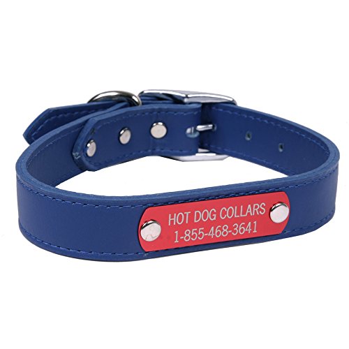 The Best Personalized Dog Collars (2022 Reviews) Pet Care Resource