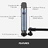Blue Ember XLR Condenser Microphone for Recording, Podcasting, Streaming, Custom Cardioid Capsule and Mic Stand Mount - Grey #4