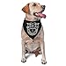 3rd Special Forces Group Triangle Dog Bandana Scarf Accessories for Pet Bibs