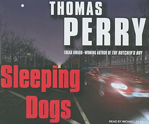 Sleeping Dogs view 2