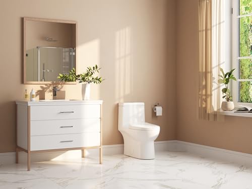 Image of DeerValley DV-1F52816 Ally White Ceramic Standard Comfortable Seat Height Elongated Dual Flush One Piece Toilet with Soft Closing and Quick Release Toilet Seat
