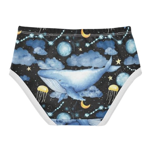 Girls Underwear Toddlers 2t Cotton Panties Little Girl Stylish Kids Briefs Undies Watercolor Blue Whales Night Clouds2