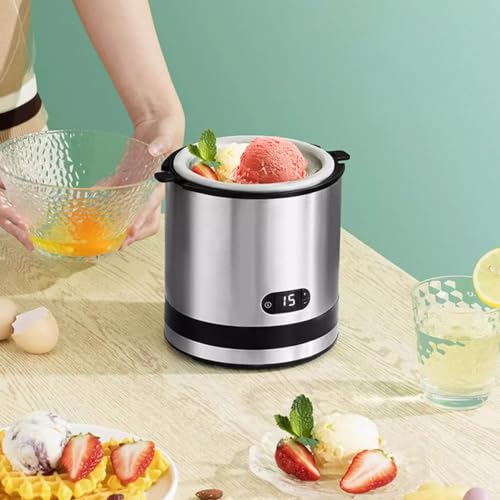 Máquina de helado pequeña y mini heladera casera para frutas y postre congelado dulce 7