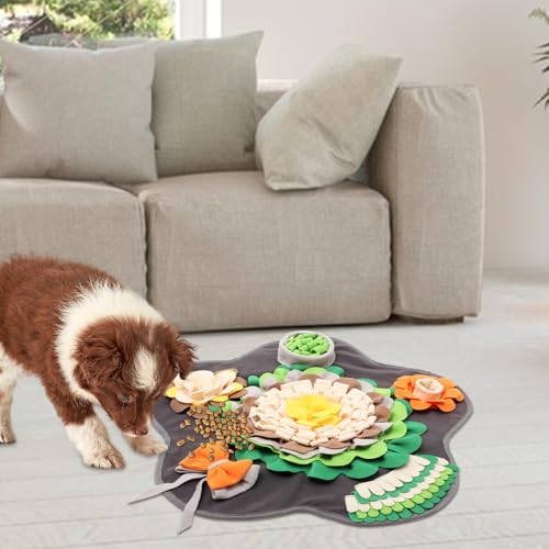 Jouets interactifs pour chiot tapis de jeu éducatif à la maison