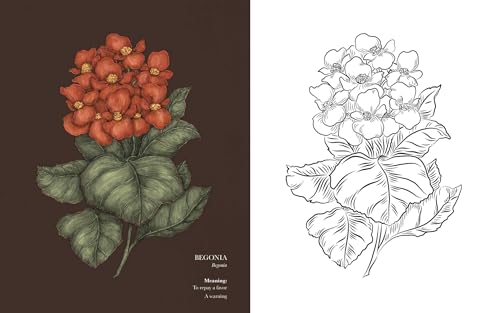 Image of Floriography Coloring Book