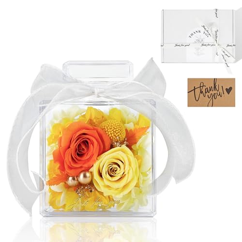 SENJWARM vU[uht[ v[g  a ̓ ͂Ȃ ỉ ͂Ȃ{KN ސEj AWg 2ւKN J[h񂰃{bNXt hV̓ LO t[Mtg IWCG[