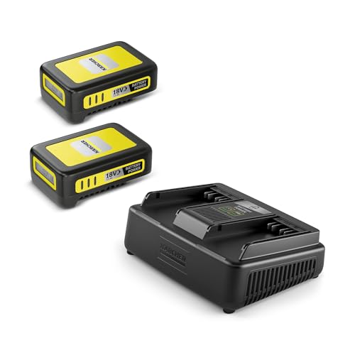 Kärcher Cargador exprés de batería de 18 V