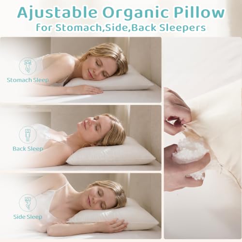 Image of Adjustable Organic Pillow 20x30 with Organic Cotton Pillowcase &Shell