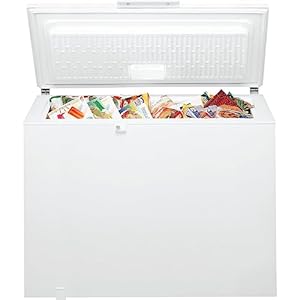 Bauknecht Gefriertruhe GTE ECO 222 C EX Supergefrierfunktion 219 Liter EEK: C