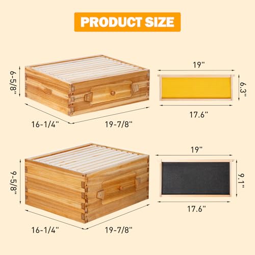 BeeCastle 10-Frame Langstroth Beehive with Windows, Beeswaxed Coated Bee Hive for Beginners with Beehive Frames and Waxed Foundations (2 Deep Bee Boxes & 1 Medium Super Bee Box) - Image 5