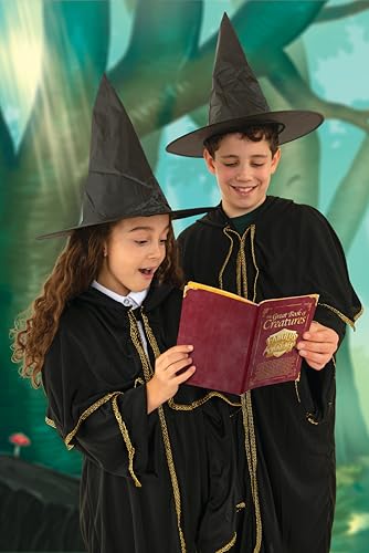 Fabulux Magix Dujardin Le Jeu - vue 5