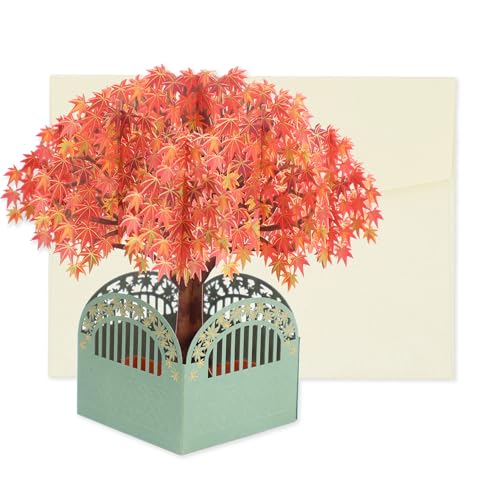 y  bZ[W J[h H z gt  [t [N Jpj[ O[eBO TL[ 肪Ƃ  l nhCh  t Zbg j v[g Mtg  H |bvAbv ~j J[h 񂹏