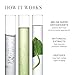 Meaningful Beauty Eye Enhancing Serum Anti-Wrinkle Hydrating Formula, 0.5 Fl Oz