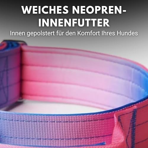 Spark Paws Taktisches Hundehalsband – Robuste, Premium-Qualität, Dick und Langlebig für Große und Mittelgroße Hunde M: 23-39kg [3.8cm]