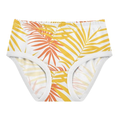 GuoChe Training Panties Underwear for Daily Wear Comfort Color for Girls in Sizes 2T,3T, 4T, 5T, 6Y and 8Y - Main Image