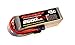 RoaringTop LiPo Battery Pack 45C 2600mAh 6S 22.2V with EC3 Plug for RC Car Boat Truck Heli Airplane