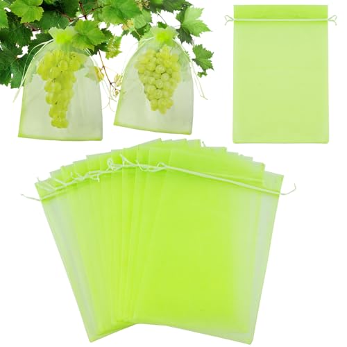 KINGKAKE 50Stück 20x30cm Traubenschutzbeutel Grün Fruchtschutzbeutel mit Kordelzug Organzabeutel Transparenter Netzbeutel für Garten Zum Verhindern Wespen Fruchtfliegen Insekt Vögel