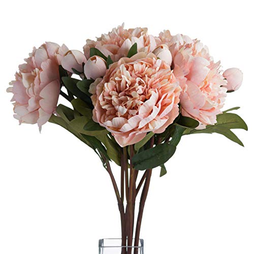 The Recipe Peach Peony Rose orange one size
