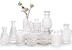Vases Glass Dome