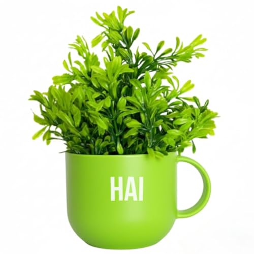 Image of Dekorly Colorful Wall-Mounted Mug Planters with Faux Greenery(20 CM)- Wall Decorative Pots for Vibrant Home & Office Decor| (3, Zindagi Gulzar Hai)