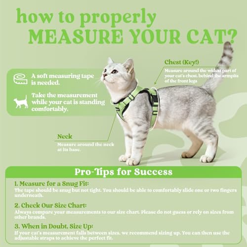 Image of rabbitgoo Cat Harness and Leash Set, Escape Proof Vest, Light Green | Soft Breathable Mesh, Easy Adjustable Fit, Snap Buckles, Sturdy Clip, Reflective Strips, for Medium to Large Cats Walks, M