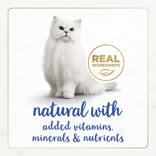 Image of Purina Fancy Feast Wet Cat Food Gourmet Naturals Rainbow Trout Recipe in Wet Cat Food Gravy - (Pack of 12) 3 oz. Cans